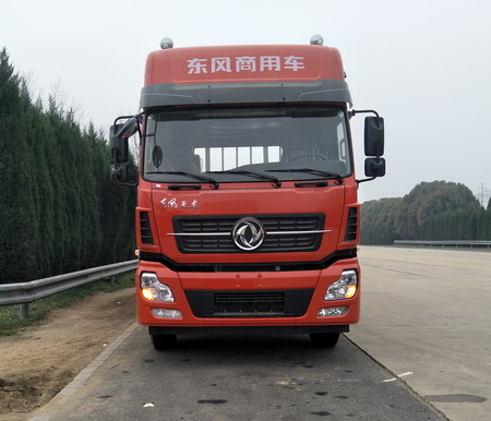 DFH1310A1载货汽车燃油公告图片1