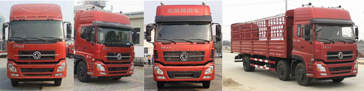 DFH5250CCYAXV仓栅式运输车燃油公告扩展图片3
