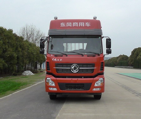 DFH1310A1载货汽车燃油公告图片1