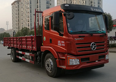 DYQ1160D5AC载货汽车燃油公告图片2