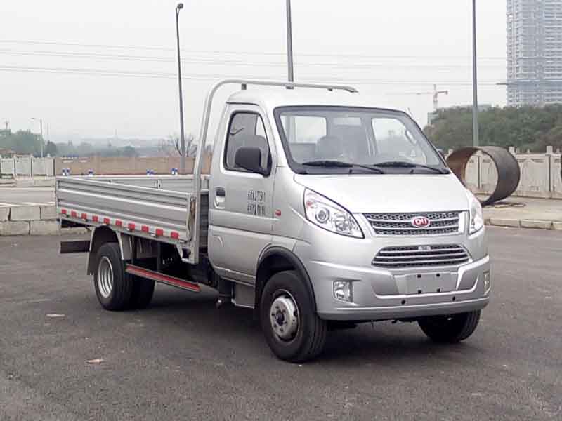 NJA1040SDC34V载货汽车燃油公告图片2