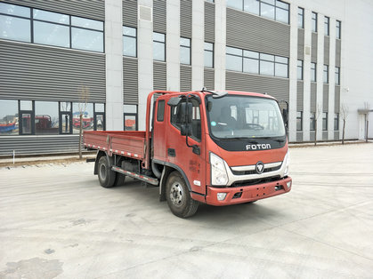 BJ1048V9JDA-A1载货汽车燃油公告图片2