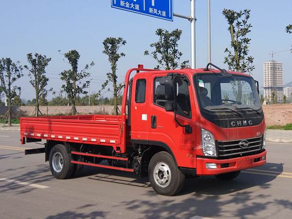 CNJ1041QDA33V载货汽车燃油公告图片2