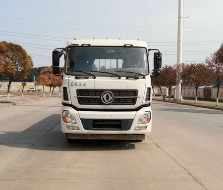 DFH1250AX13载货汽车燃油公告图片1