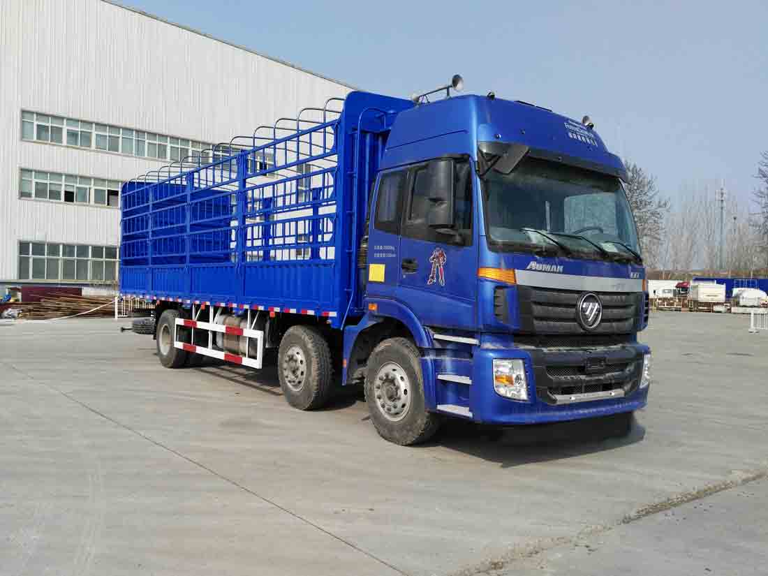 BJ5253CCY-AB仓栅式运输车燃油公告扩展图片5