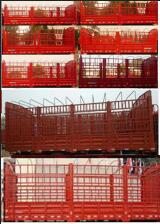 DFH5180CCYBX1DV仓栅式运输车燃油公告扩展图片1