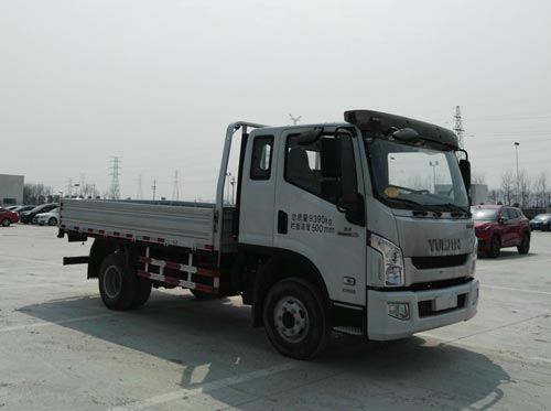 SH1102ZFDCWZ载货汽车燃油公告图片2