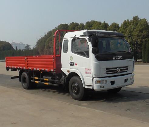 EQ1110L8BDC载货汽车燃油公告图片2