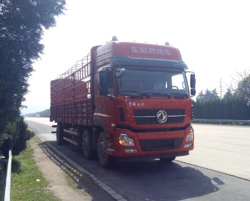 DFH5250CCYAXV仓栅式运输车燃油公告图片2