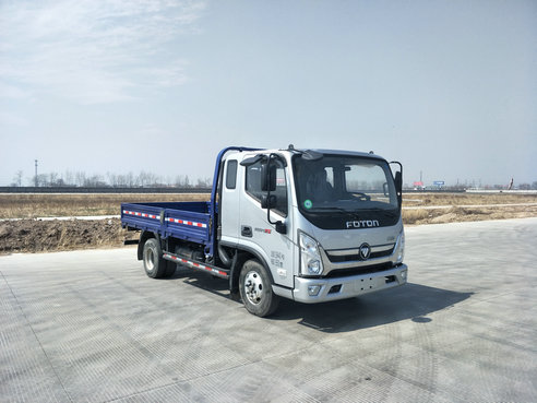 BJ1048V8JDA-FA载货汽车燃油公告图片2