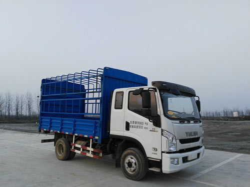 SH5102CCYZFDCWZ仓栅式运输车燃油公告图片2