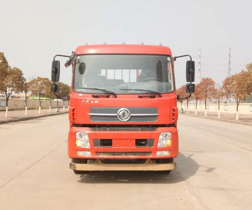 DFH1250BXV载货汽车燃油公告图片1