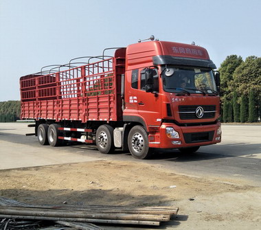 DFH5310CCYA1仓栅式运输车燃油公告图片2