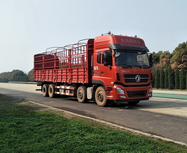 DFH5310CCYA1仓栅式运输车燃油公告图片2