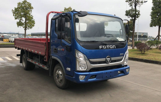 BJ1048V9JDA-FA载货汽车燃油公告图片2
