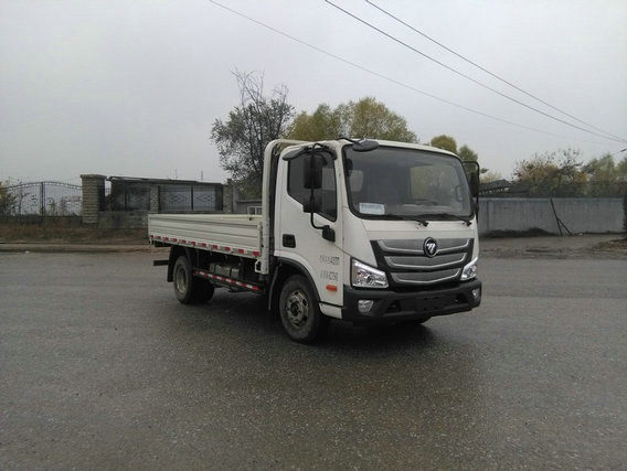 BJ1048V9JDA-FA载货汽车燃油公告扩展图片2