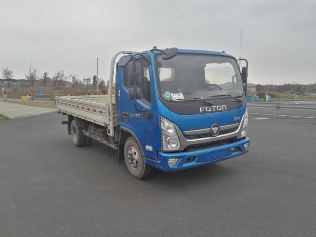 BJ1048V8JDA-FA载货汽车燃油公告图片2