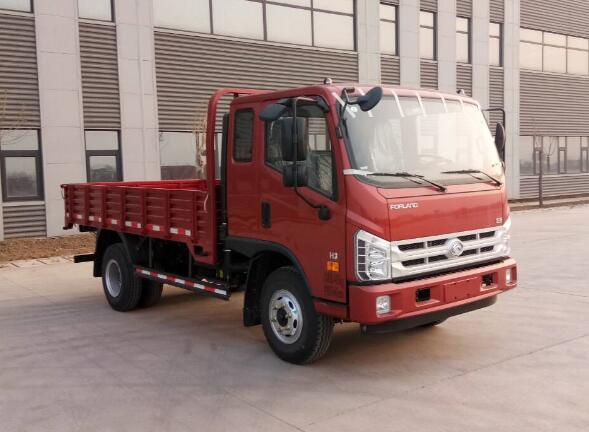 BJ1043V9PEA-GN载货汽车燃油公告图片2