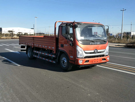 BJ1108VEJEA-FA载货汽车燃油公告扩展图片3