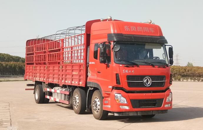 DFH5250CCYAXV仓栅式运输车燃油公告图片2