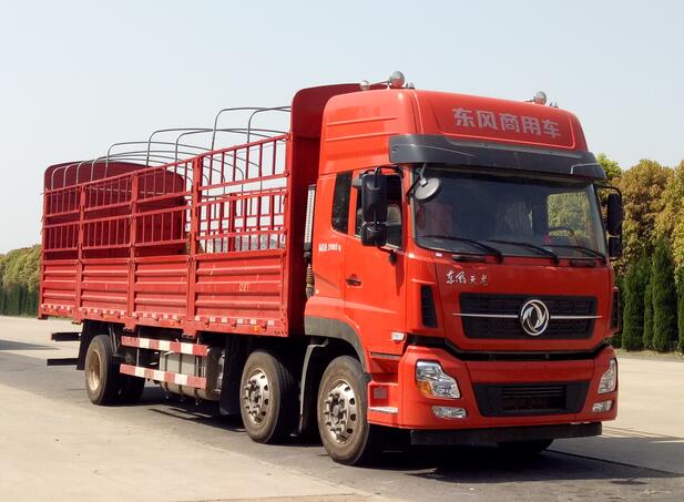 DFH5250CCYAXV仓栅式运输车燃油公告图片2