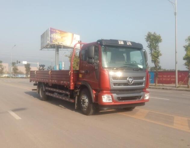 BJ1165VJPEK-FA载货汽车燃油公告图片2