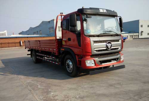 BJ1165VJPEK-FA载货汽车燃油公告扩展图片1