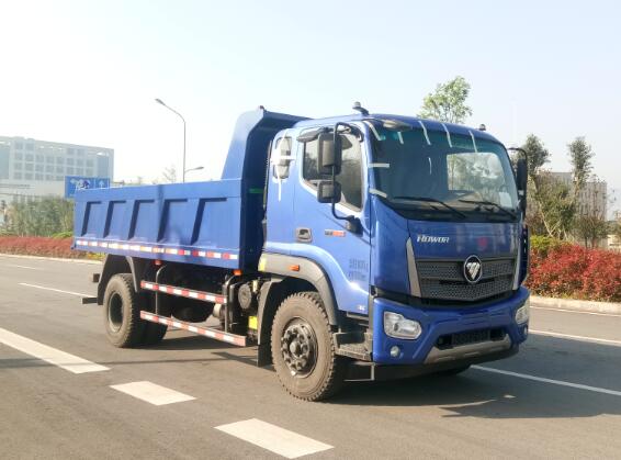 BJ3185DKPHA-FA自卸汽车燃油公告图片2