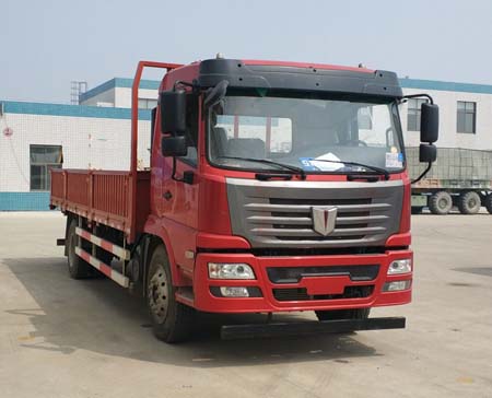QCC1182D651N载货汽车燃油公告图片2