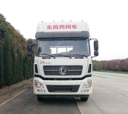 DFH1250AX2A载货汽车燃油公告图片1