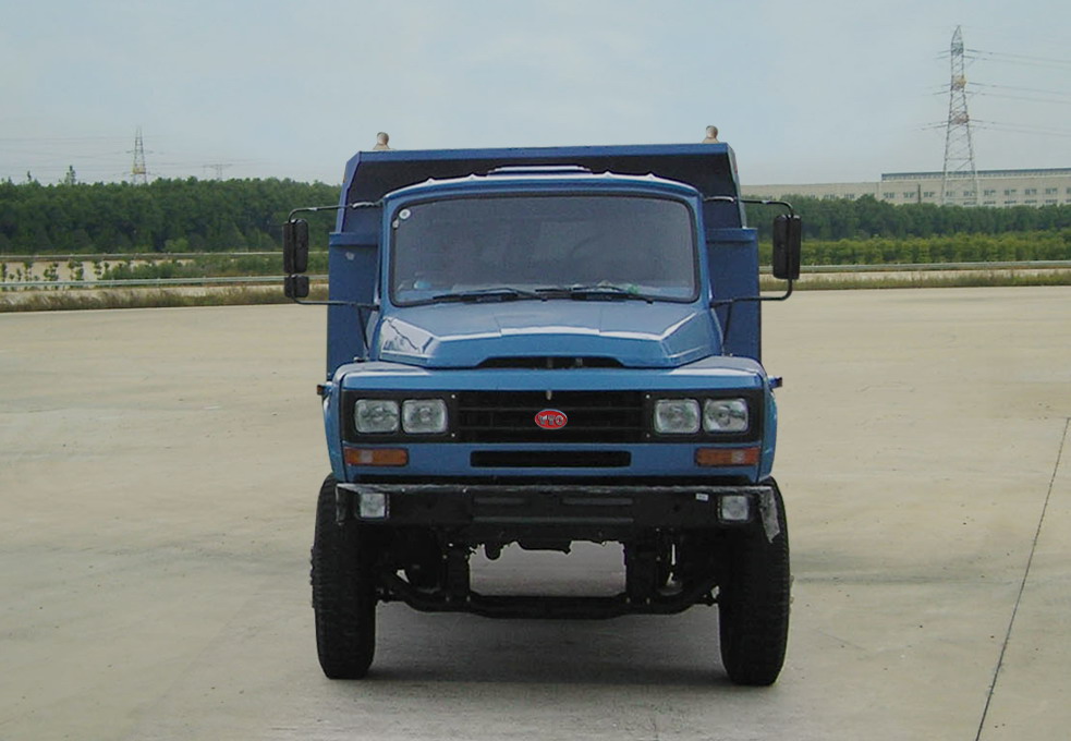 LT3061FP自卸汽车燃油公告图片1