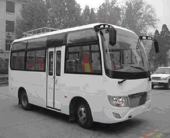 LS6603客车燃油公告图片2