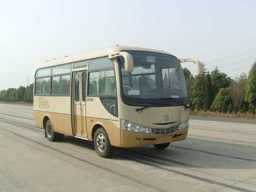 CLY6600DJA轻型客车燃油公告图片2