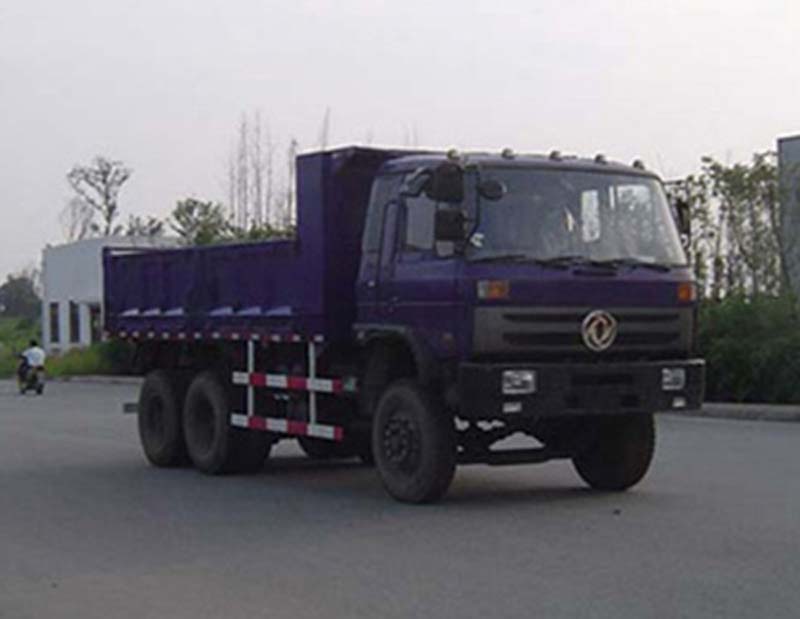 SE3250GS3自卸汽车燃油公告图片2