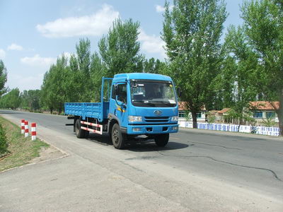 CA1163P9K2L6E平头柴油载货汽车燃油公告图片2