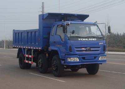BJ3183DKPFB-2自卸汽车燃油公告图片2