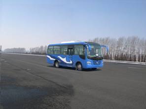 DD6751K02F客车燃油公告图片2