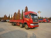 CA1313P2K15L7T4EA80平头柴油载货汽车燃油公告图片2