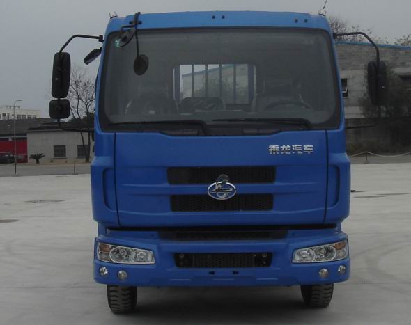 LZ1163RAP载货汽车燃油公告图片1