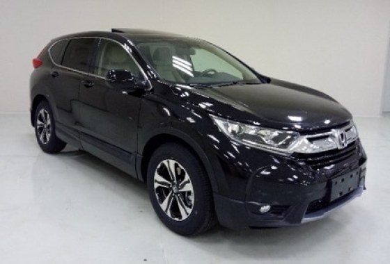 思威牌4.6米5座多用途乘用车(dhw6462r1csf)