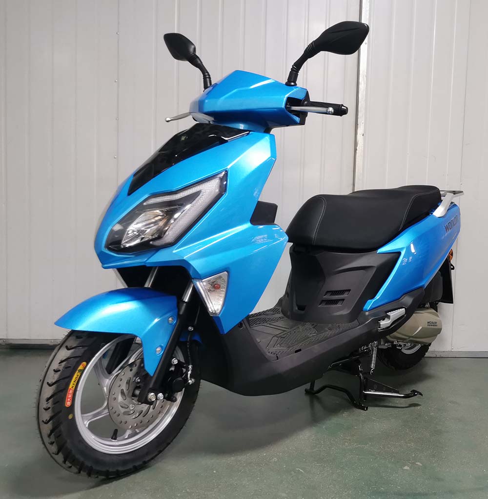 望龙牌wl125t-32两轮摩托车公告图片